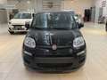 Fiat Sonstige Pandina FireFly Hybrid 70 Icon Schwarz - thumbnail 1