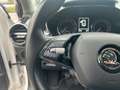 Skoda Fabia Style 1.0 MPI Bianco - thumbnail 15