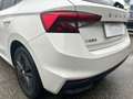 Skoda Fabia Style 1.0 MPI Bianco - thumbnail 10