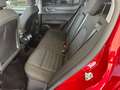Alfa Romeo Stelvio Stelvio 2020 2.2 t Business rwd 160cv auto Rot - thumbnail 12