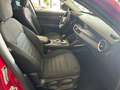 Alfa Romeo Stelvio Stelvio 2020 2.2 t Business rwd 160cv auto Rot - thumbnail 14