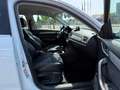 Audi Q3 2.0 TDI quattro S-Tronic Navi  FINANZIERUNG Wit - thumbnail 17