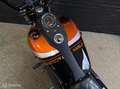 Harley-Davidson Dyna Street Bob 103 FXDBP - thumbnail 6