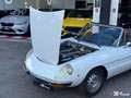 Alfa Romeo Spider 2000 2.0L 128cv / ETAT EXCEPTIONNEL / SUIVI Blanc - thumbnail 9