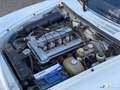 Alfa Romeo Spider 2000 2.0L 128cv / ETAT EXCEPTIONNEL / SUIVI Blanc - thumbnail 24