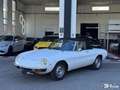 Alfa Romeo Spider 2000 2.0L 128cv / ETAT EXCEPTIONNEL / SUIVI Blanc - thumbnail 30