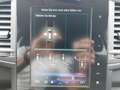 Renault Koleos Intens Blue dCi 190 4WD X-tronic Grau - thumbnail 19