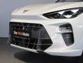 CUPRA Terramar 1.5 e-TSI 150 PS DSG Weiß - thumbnail 11