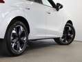 CUPRA Terramar 1.5 e-TSI 150 PS DSG Weiß - thumbnail 45