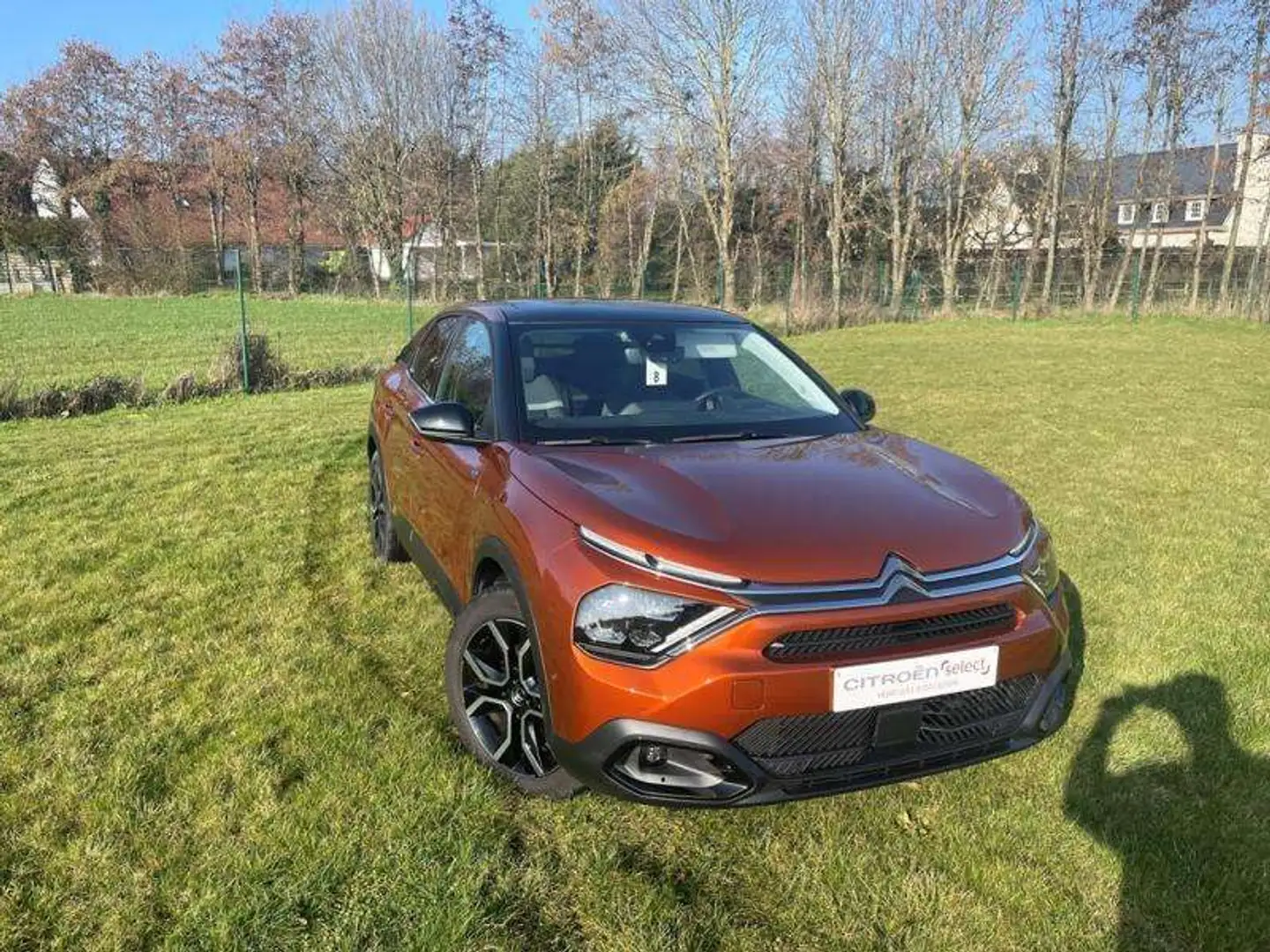 Citroen C4 Shine pack Beige - 2
