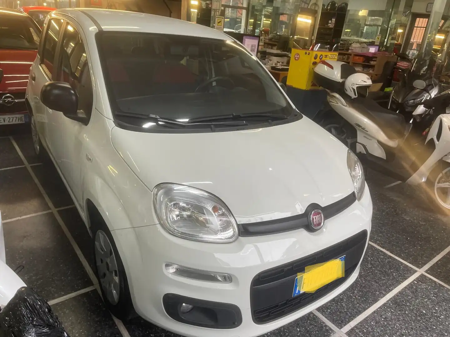 Fiat Panda 1.2 Easy Blanco - 2