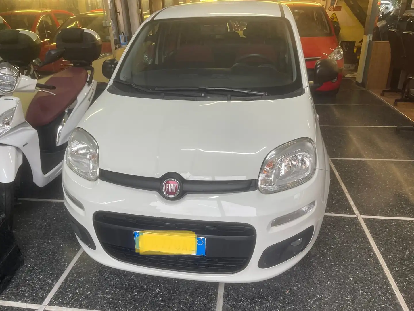 Fiat Panda 1.2 Easy Blanco - 1