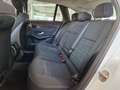 Mercedes-Benz GLC 220 d 4Matic Sport - IVA DEDUCIBILE Wit - thumbnail 15