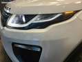 Land Rover Range Rover Evoque Land 2.0 TD4 180ch SE DYNAMIC 4WD BVA Wit - thumbnail 15