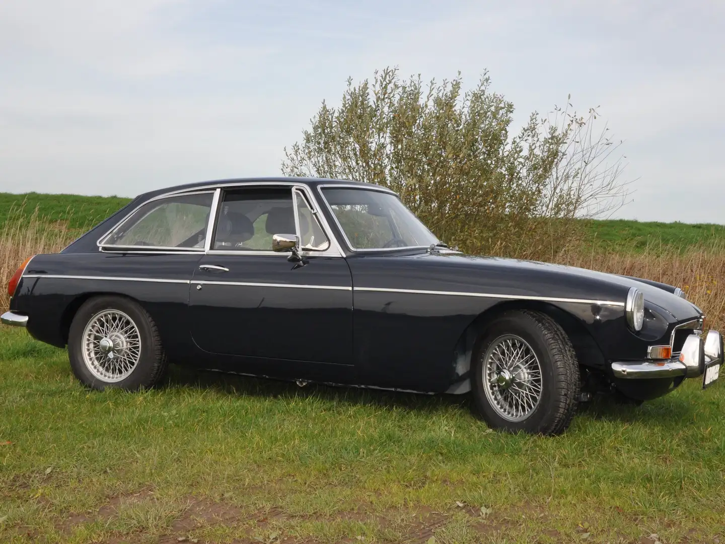 MG MGB GT Azul - 1