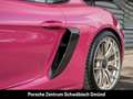 Porsche Cayman 718 GT4 RS BOSE Sportabgasanlage LED PCCB Violett - thumbnail 19