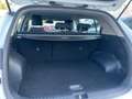 Kia Sportage Sportage 1.6 Business Class 2wd 136cv Auto. Bianco - thumbnail 14