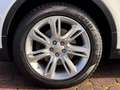 Land Rover Range Rover Evoque SE Dynamic RFKA NAVI MEMO TWA Weiß - thumbnail 26