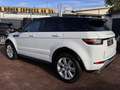Land Rover Range Rover Evoque SE Dynamic RFKA NAVI MEMO TWA Weiß - thumbnail 3