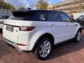 Land Rover Range Rover Evoque SE Dynamic RFKA NAVI MEMO TWA Weiß - thumbnail 5