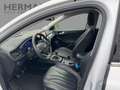 Ford Focus Turnier 1.0 EcoBoost S/S Vignale *Leder*SHZ Beyaz - thumbnail 7