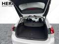 Ford Focus Turnier 1.0 EcoBoost Mild-Hybrid S/S Vignale bijela - thumbnail 6