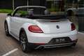 Volkswagen Beetle Cabriolet 2.0 TSI Dune NL-Auto 66 D.Km Zilver - thumbnail 4