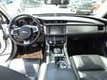 Jaguar XF 20d Prestige Aut. Bianco - thumbnail 11
