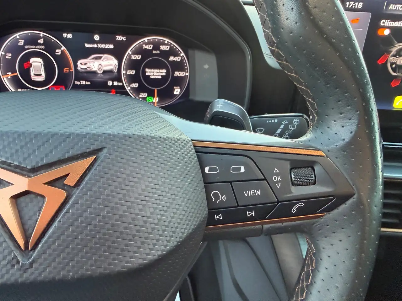Cupra Formentor 2.0 TDI 4Drive DSG, миниатюра 12