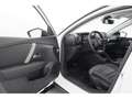 Citroen C4 1.2PureTech Aut.Shine+LED+NAVI+HUD+TEMPO Blanc - thumbnail 18