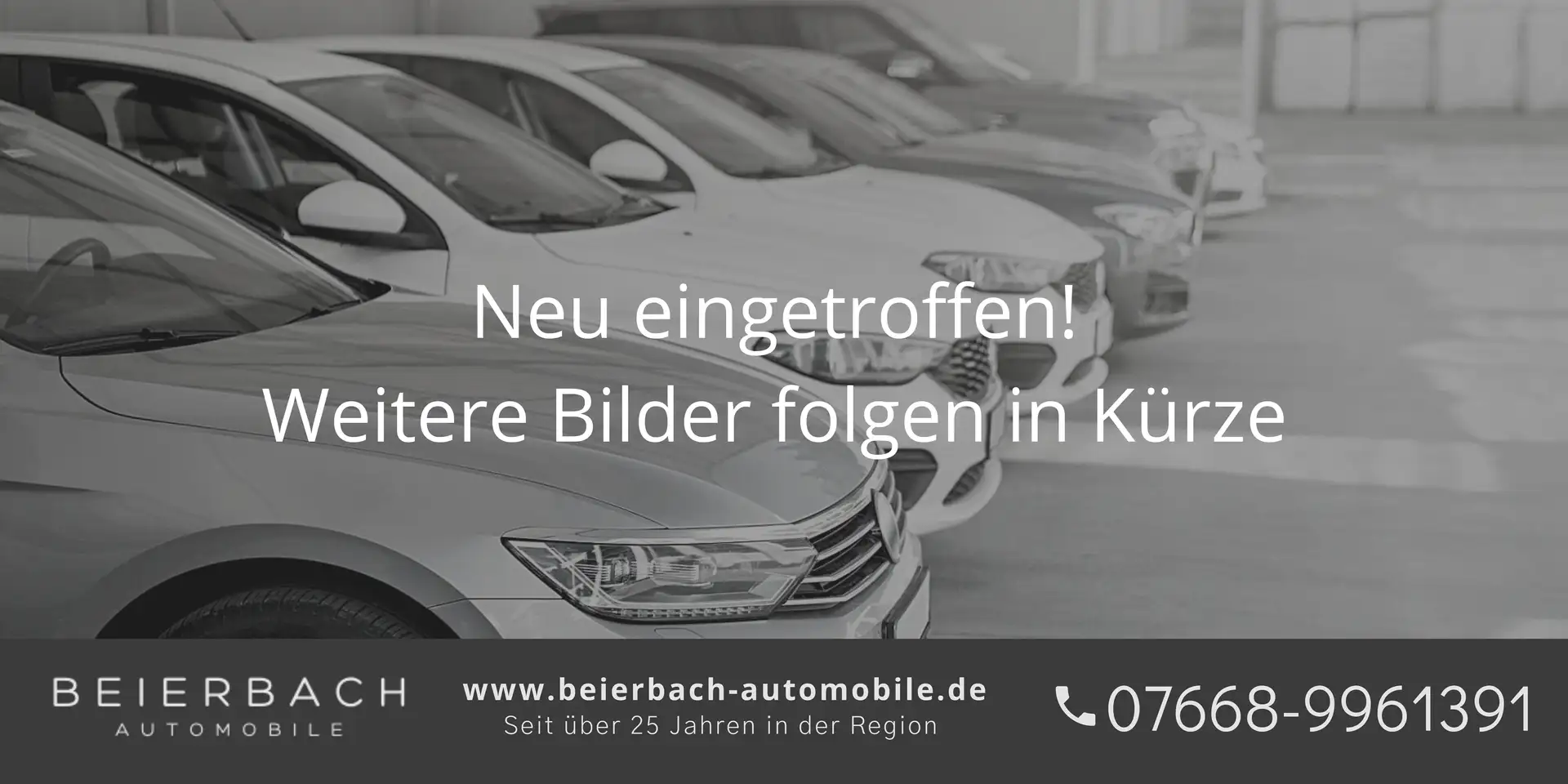 Volkswagen Passat Variant 1.4TSI eHybrid GTE /ACC/Matrix/CAM/T-Leder Grau - 2