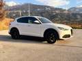 Alfa Romeo Stelvio 2.2 JTDM Super Q4 / AHK 2.3t / Diesel / Leder Weiß - thumbnail 11