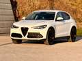 Alfa Romeo Stelvio 2.2 JTDM Super Q4 / AHK 2.3t / Diesel / Leder Weiß - thumbnail 5