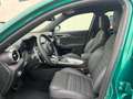 Alfa Romeo Tonale 1.5 160 CV MHEV TCT7 Tributo Italiano Verde - thumbnail 13