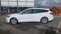 Ford Focus SW 1.5 EcoBlue 120ch Trend Business Blanc - thumbnail 8