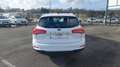 Ford Focus SW 1.5 EcoBlue 120ch Trend Business White - thumbnail 6