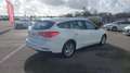 Ford Focus SW 1.5 EcoBlue 120ch Trend Business Blanc - thumbnail 5