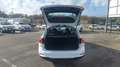 Ford Focus SW 1.5 EcoBlue 120ch Trend Business Blanc - thumbnail 15
