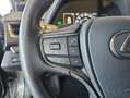 Lexus UX 300e Business Silber - thumbnail 12