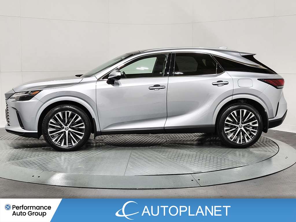 2024 Lexus RX