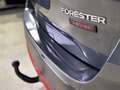 Subaru Forester EDITION SPORT 40+PANO+AHK+SHZ+KAMERA+GARANTIE Gris - thumbnail 30