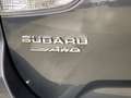 Subaru Forester EDITION SPORT 40+PANO+AHK+SHZ+KAMERA+GARANTIE Gris - thumbnail 29
