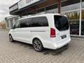 Mercedes-Benz V 300 AVANTGARDE EDITION lang Burmester Topview Weiß - thumbnail 5