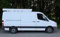 Mercedes-Benz Sprinter Sprinter 313 CDI 3,5 t / 3.665 mm Weiß - thumbnail 4