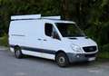 Mercedes-Benz Sprinter Sprinter 313 CDI 3,5 t / 3.665 mm Weiß - thumbnail 5