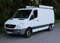 Mercedes-Benz Sprinter Sprinter 313 CDI 3,5 t / 3.665 mm Weiß - thumbnail 1