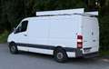Mercedes-Benz Sprinter Sprinter 313 CDI 3,5 t / 3.665 mm Weiß - thumbnail 3