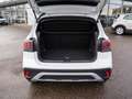 Volkswagen T-Cross Goal 1.0TSI DSG LED Navi PDC SHZ ACC AHK Weiß - thumbnail 8