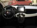 Fiat New Panda PANDINA  1.0 FIREFLY S-S HYBRID CROSS Vert - thumbnail 9