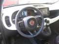 Fiat New Panda PANDINA  1.0 FIREFLY S-S HYBRID CROSS Grün - thumbnail 8
